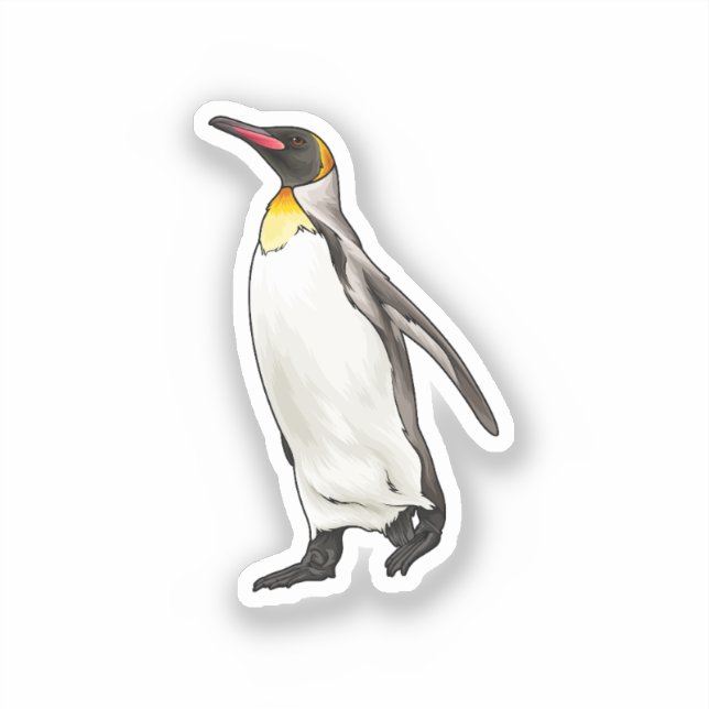 Adesivo Ilustração do vetor de pinguim (Frente)