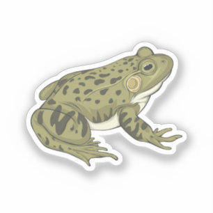Adesivo Ilustração do vetor do sapo-leopardo