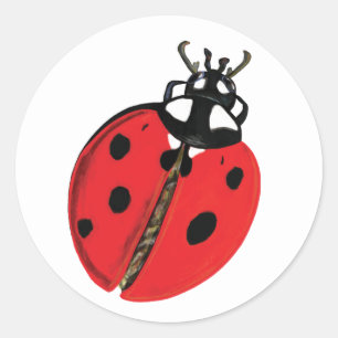 Adesivo Ilustração Lady Bug