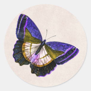 Adesivo Ilustração roxa e Dourado do vintage da borbolet