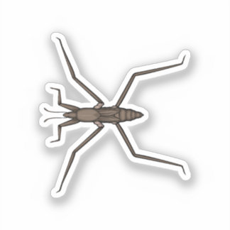 Adesivo Ilustração vetorial de patinador de patins