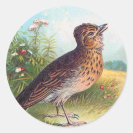 Adesivo Ilustração Vintage "Lark"