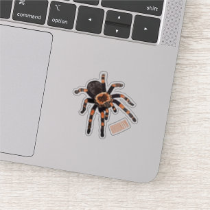 Adesivo Imagem do desenho de Tarantula
