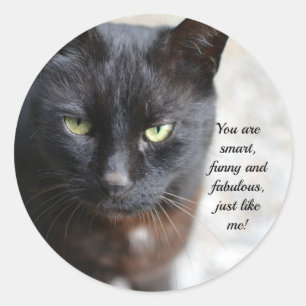 Adesivo Imagem do Lover Gato Preto com Citação Motivativ