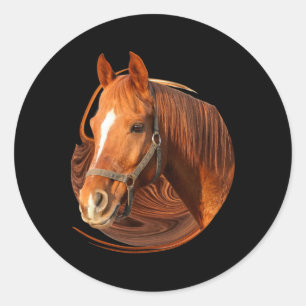 Adesivo Imagem Gráfica de Cavalo Anidente - Cavaleiro Cava