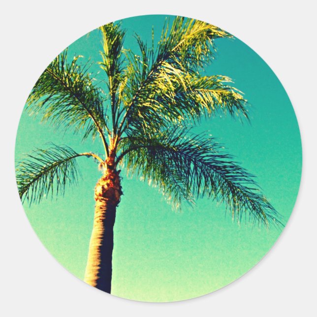Adesivo Imagem Sunny Florida Palm Tree Sky (Frente)