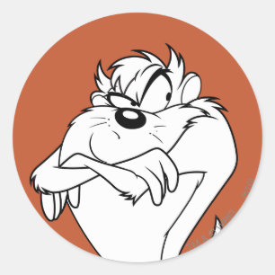 Adesivo Imagem TAZ™