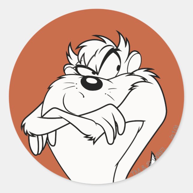 Adesivo Imagem TAZ™ (Frente)