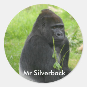 Adesivo IMG_8810, Sr. Silverback