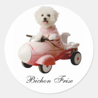 Adesivo IMG_9658-F1 copy, Bichon Frise
