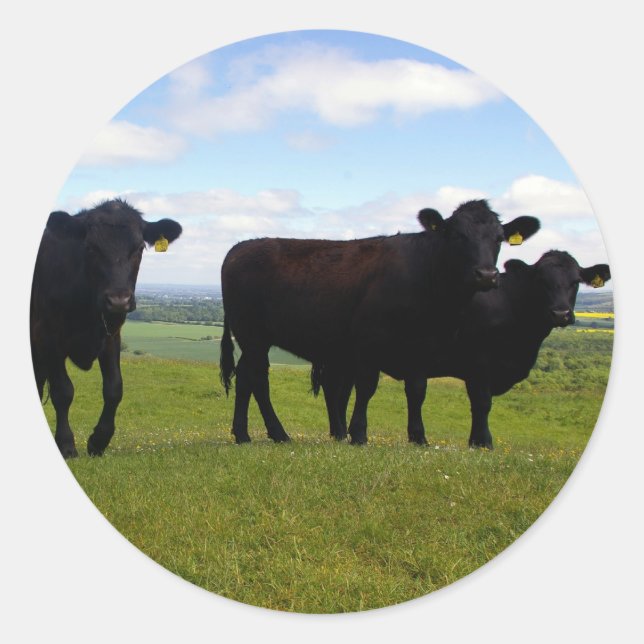 Adesivo Impaciência (Frente)