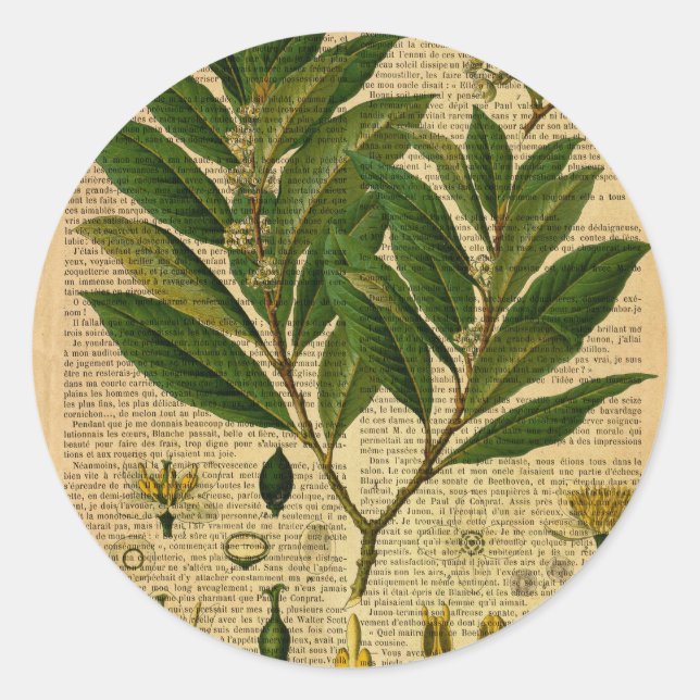 Adesivo Impressão botânico na página do livro antigo (Frente)