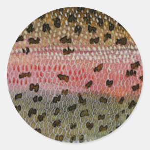 Adesivo Impressão da pele dos peixes da truta de arco-ír