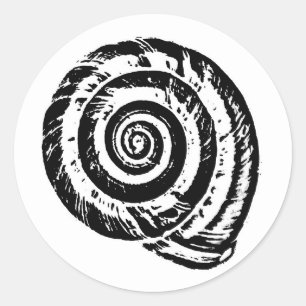 Adesivo Impressão de bloco espiral do Seashell, preto e