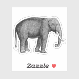 Adesivo Impressão de Elefantes Asiáticos