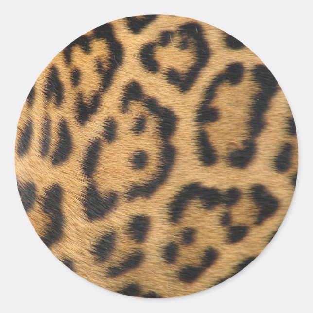 Adesivo Impressão de Leopardo (Frente)