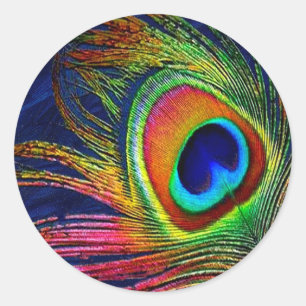 Adesivo Impressão de Pena de Pavão Colorida