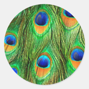 Adesivo Impressão de Penas de Pavão Coloridas