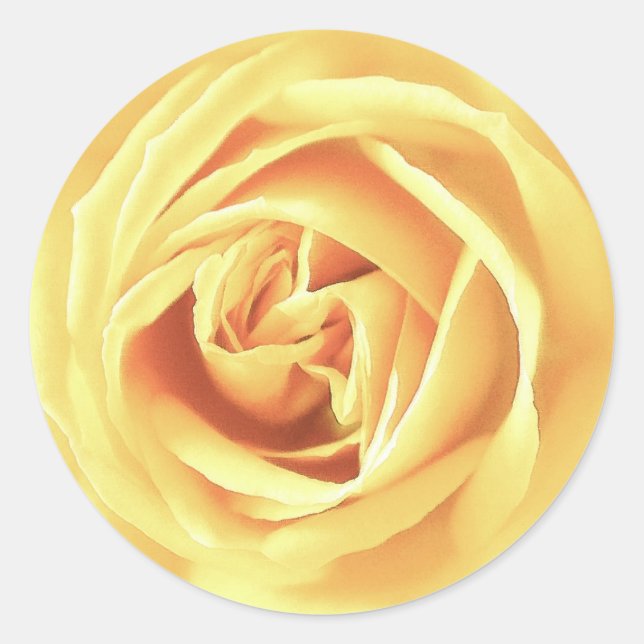 Adesivo Impressão de rosa amarela (Frente)