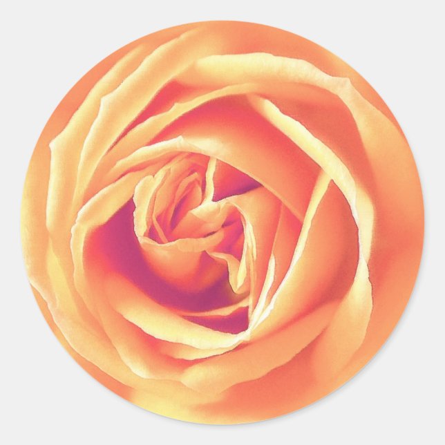 Adesivo Impressão de rosa de laranja suave (Frente)