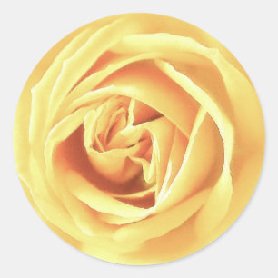 Adesivo Impressão do rosa amarelo