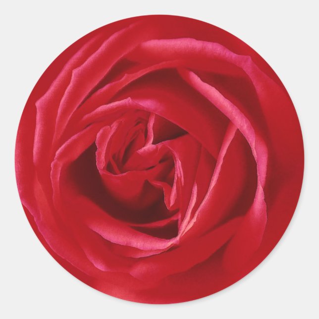 Adesivo impressão rosa vermelha (Frente)