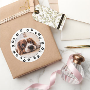 Adesivo Impressões Puppy Instagram Foto Preta Pata Imprim