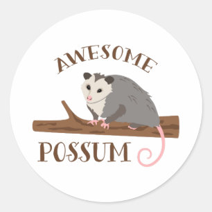 Adesivo Incrível Possum
