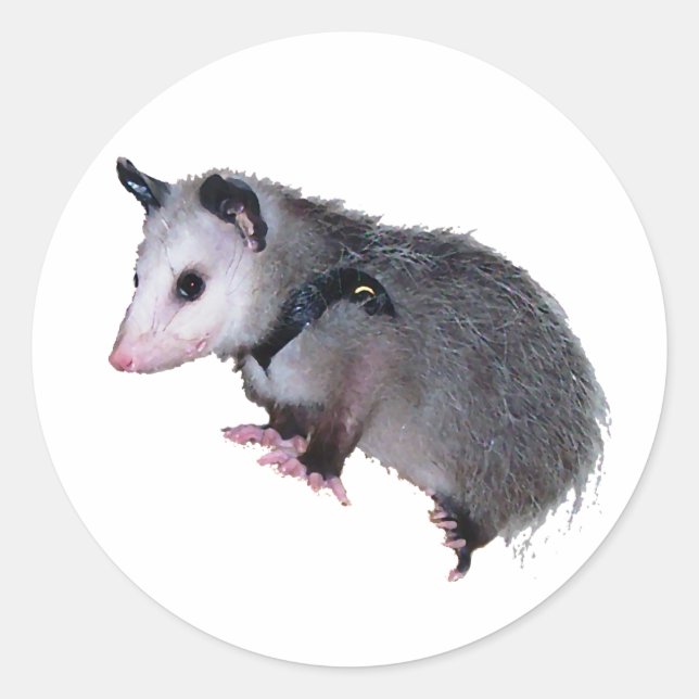 Adesivo Incrível Possum Ogambm (Frente)