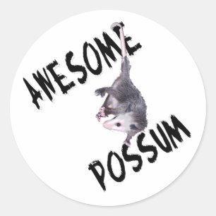 Adesivo Incrível Possum Ogambm