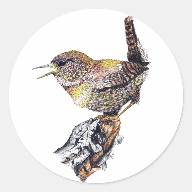 Adesivo Incrível Wren Sticker (Frente)