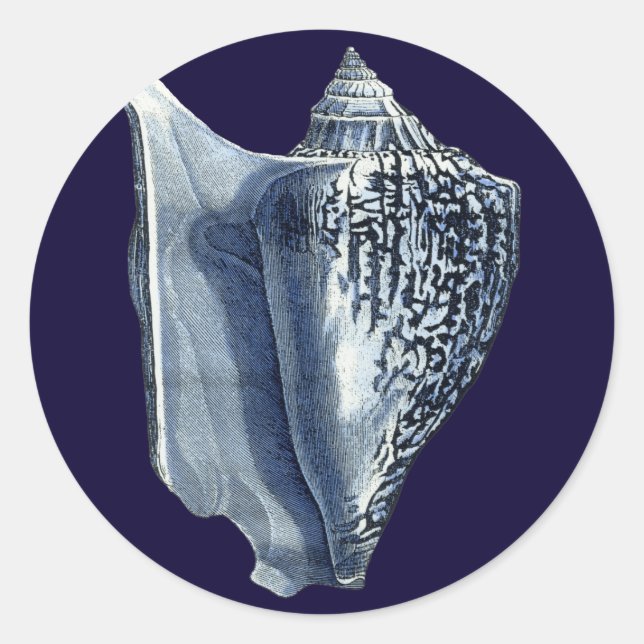 Adesivo Indigo Shells I (Frente)