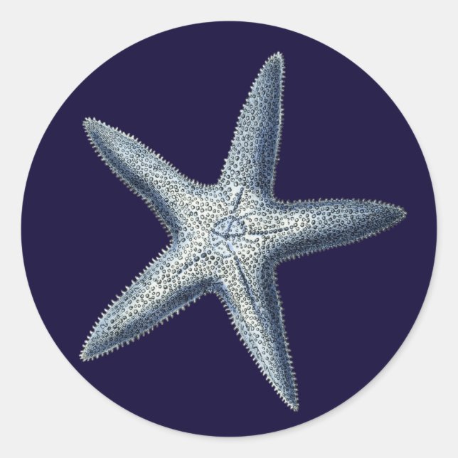 Adesivo Indigo Shells IV (Frente)