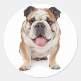 Adesivo Inglês Buldogue Puppy Dog Sticker / Selo