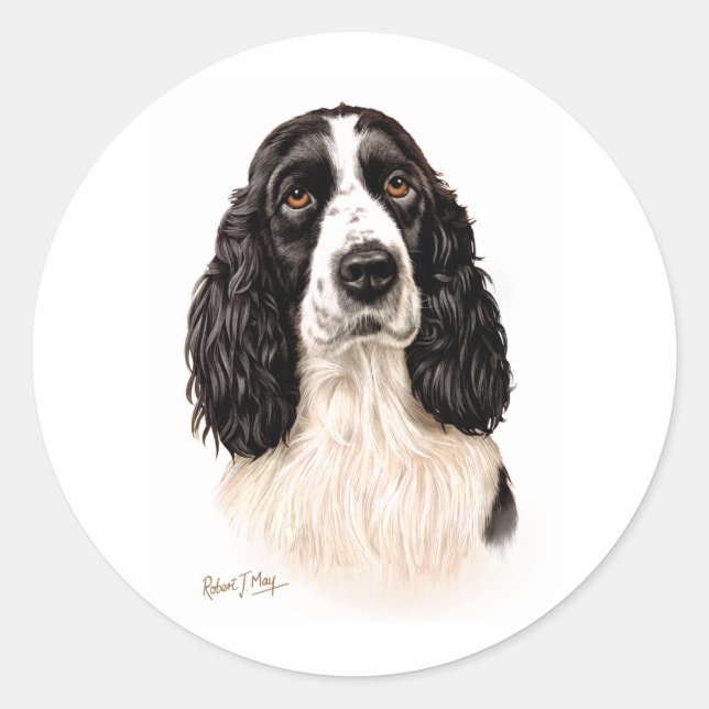 Adesivo Inglês Springer Spaniel (Frente)