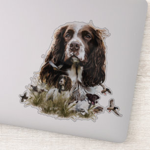 Adesivo Inglês Springer Spaniel