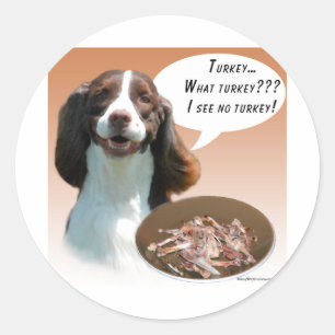 Adesivo Inglês Springer Spaniel Turquia