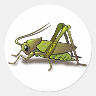 Adesivo Inseto de Críquete Verde