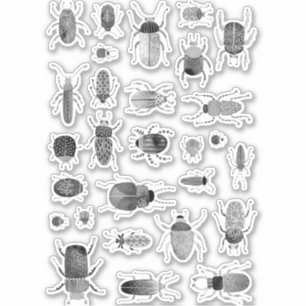 Adesivo Inseto do Inseto de tinta e do besouro