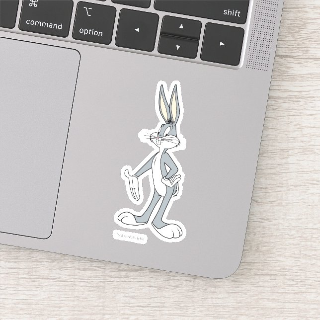 Adesivo INSETOS BUNNY™ em pé (Detalhe)