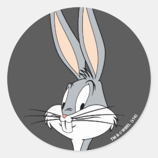 Adesivo INSETOS BUNNY™ | Mãos em Hips