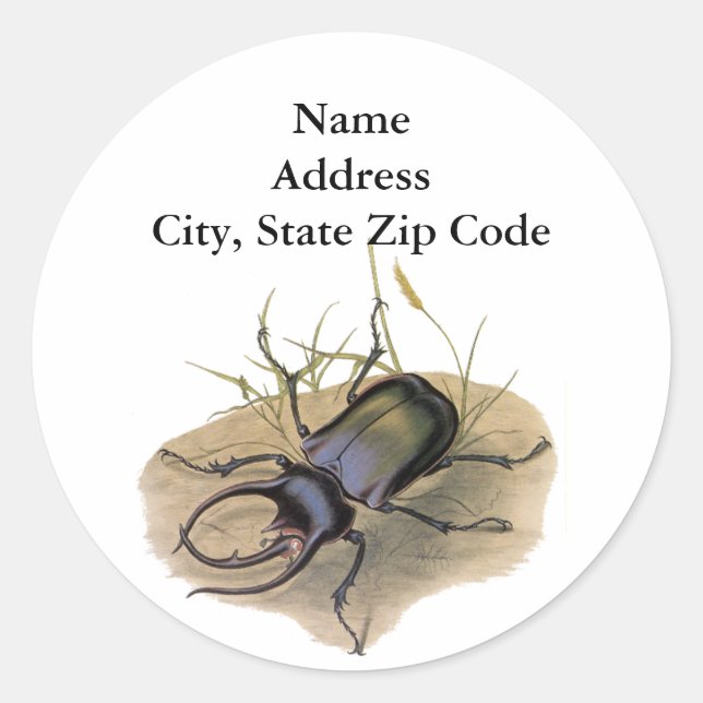 Adesivo Insetos e Insetos da Vintage, Besouro Rinoceronte (Frente)