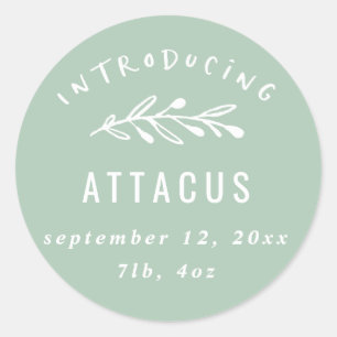 Adesivo Introduzindo o anúncio do nascimento do ramo