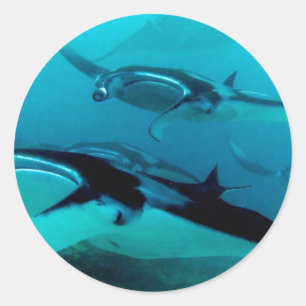Adesivo Invasão do Manta
