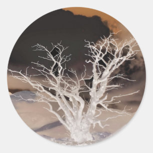 ADESIVO INVERNO DA MONTANHA