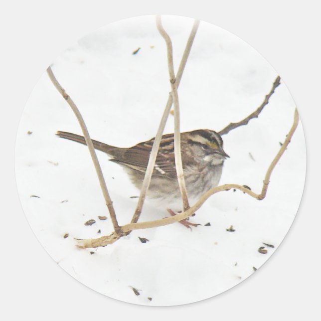 Adesivo Inverno e Sparrow (Frente)