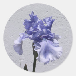 Adesivo Iris Bloom