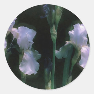 Adesivo Íris Brancas ao Luar em Flor
