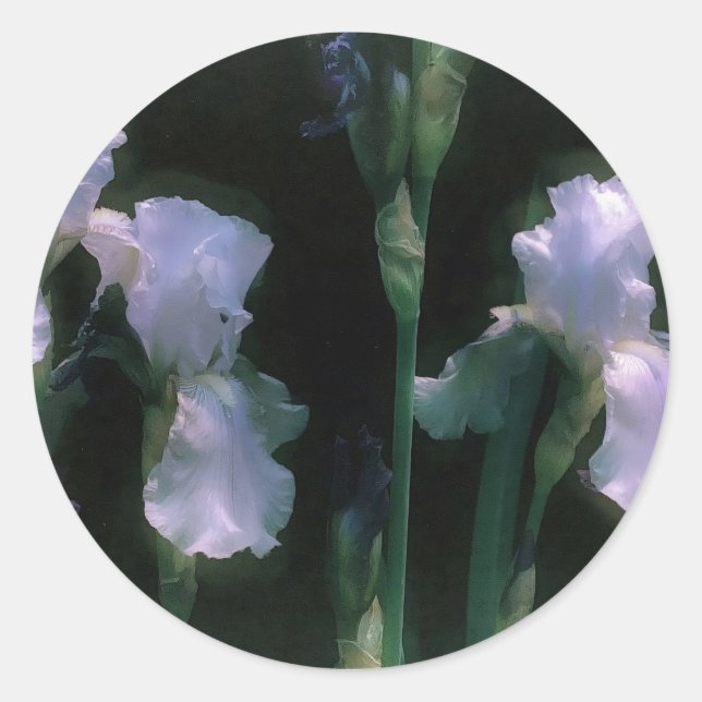 Adesivo Íris Brancas ao Luar em Flor (Frente)