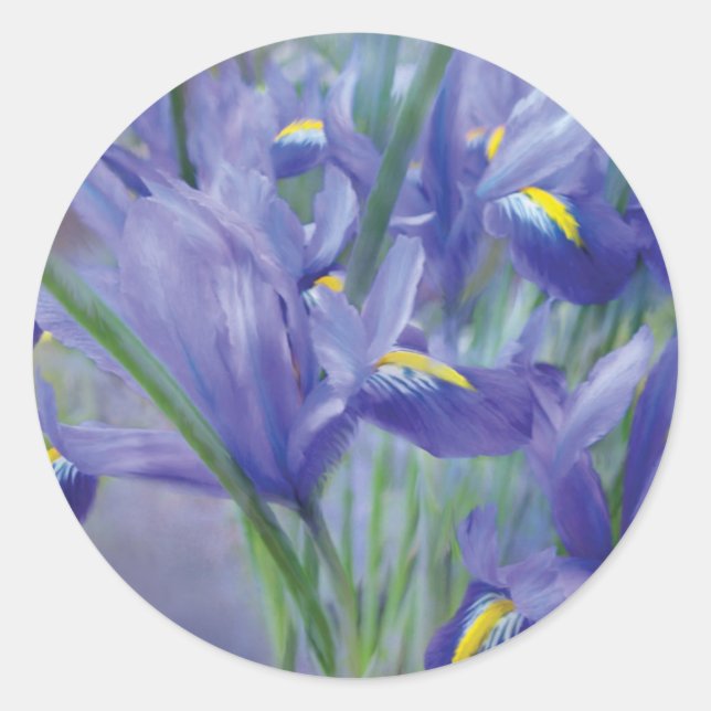 Adesivo Iris Buquê Art Sticker (Frente)